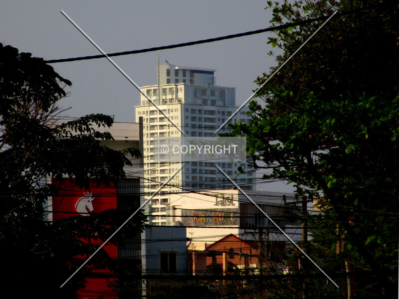Photo 156-815-513