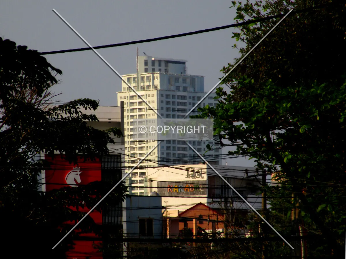 Distant view of the upper floors from the south