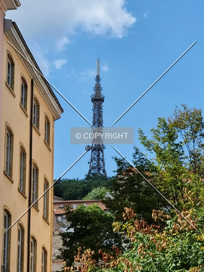 Photo 157-003-590