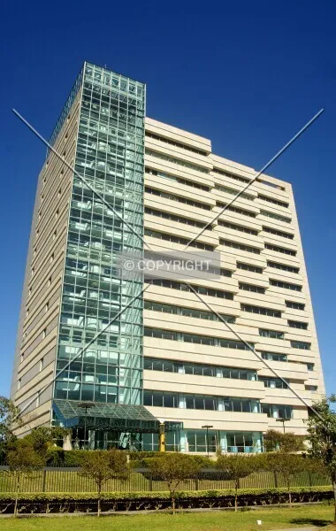 Photo 157-240-343