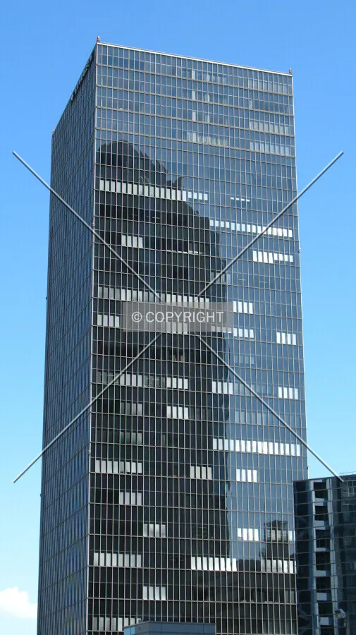 View from the southwest