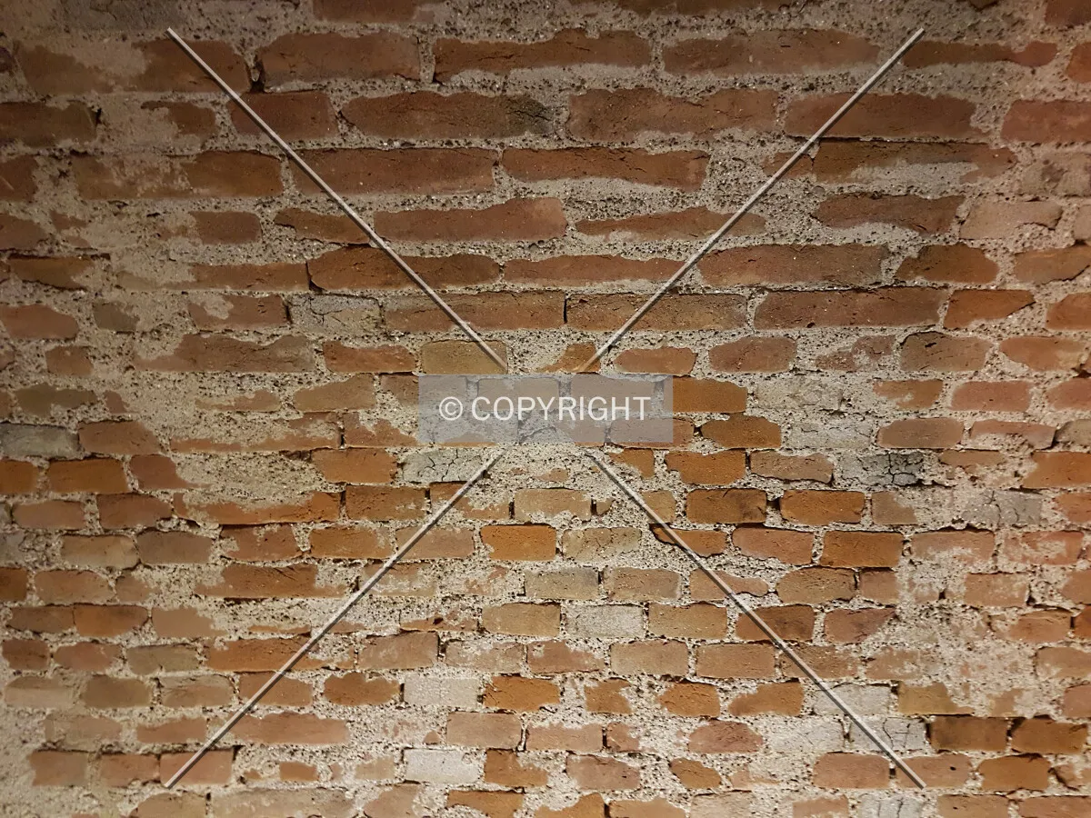 Photo 157-269-611