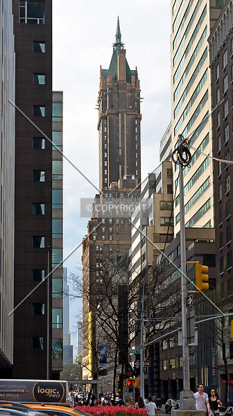 Photo 157-287-535