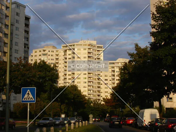 Photo 157-288-598
