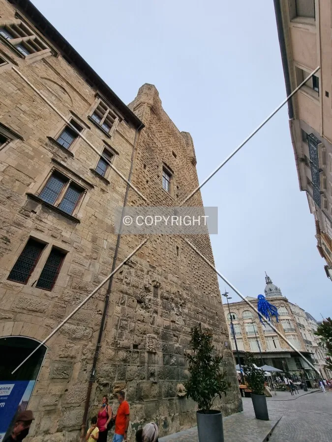 Photo 157-290-255
