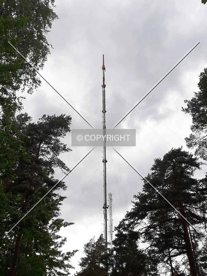 Photo 157-397-255