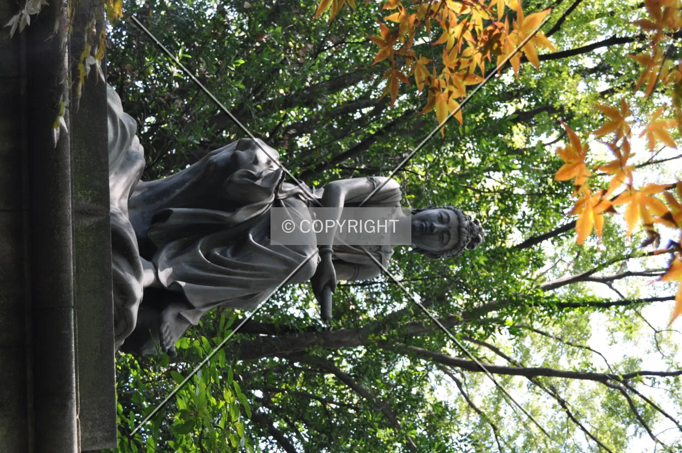 Photo 157-754-844