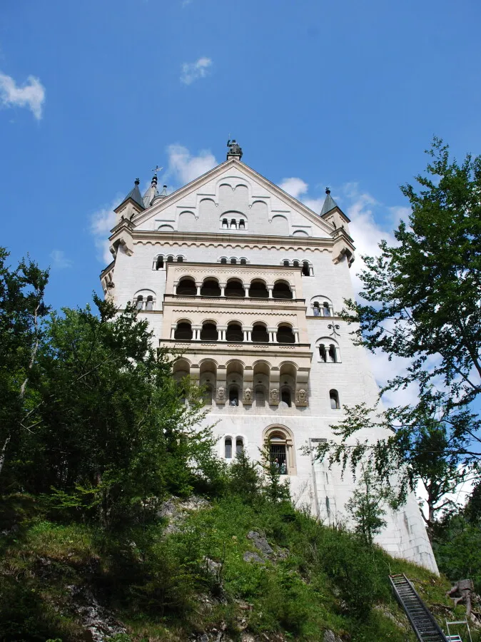 View from the rear