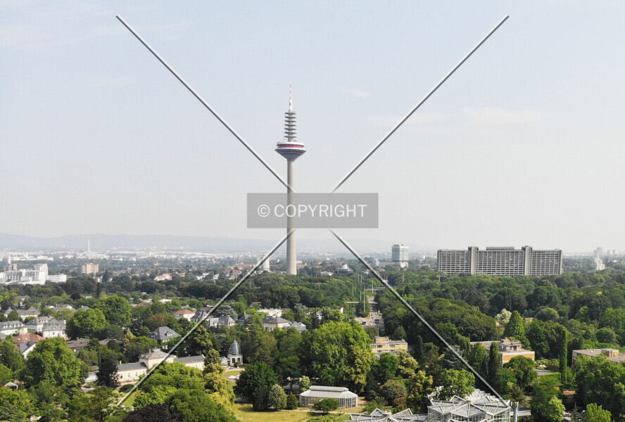 Photo 158-043-508