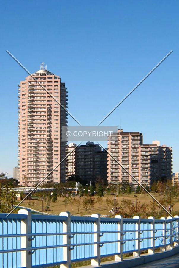 View from the south