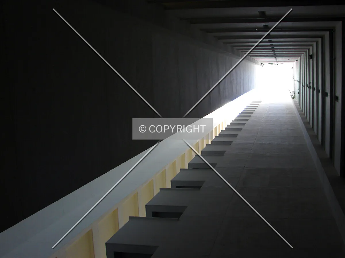 View of staircase from basement