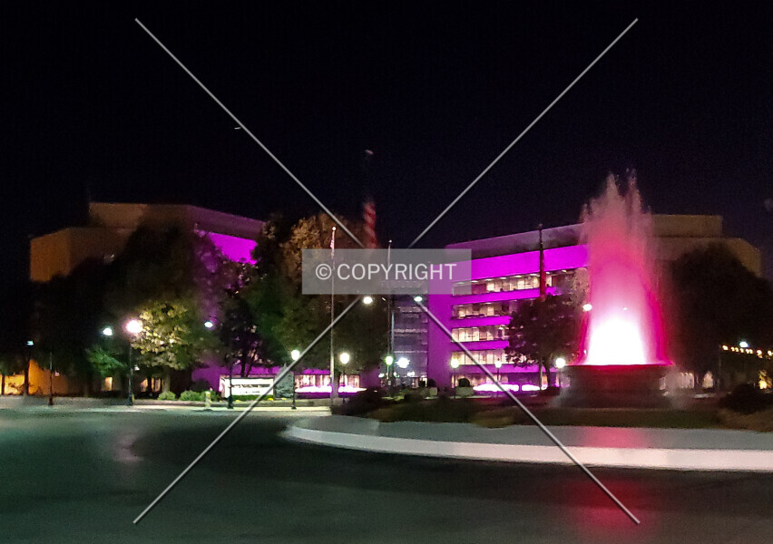 Photo 158-246-461
