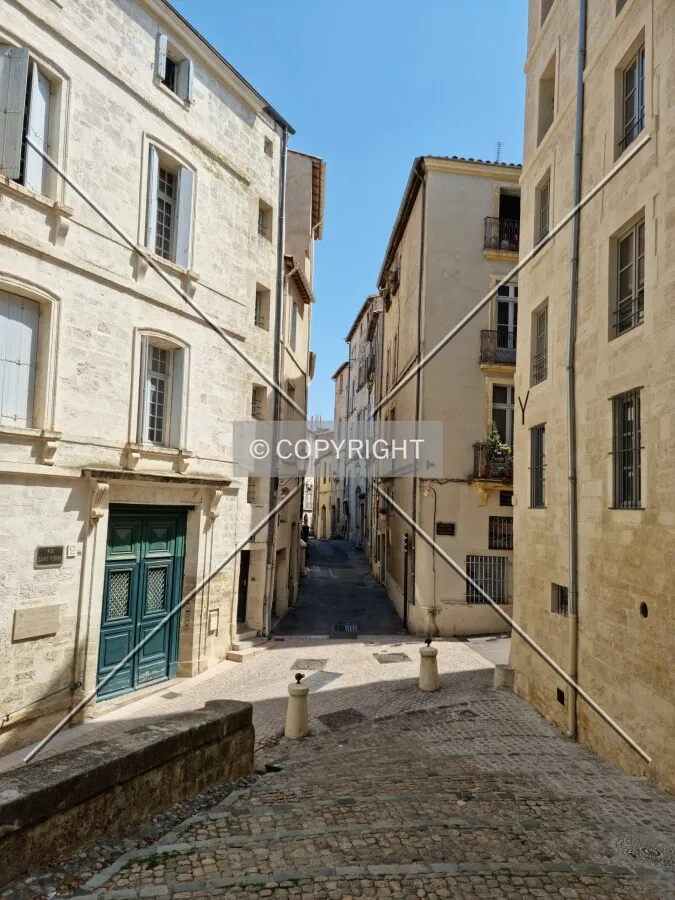 Photo 158-485-463