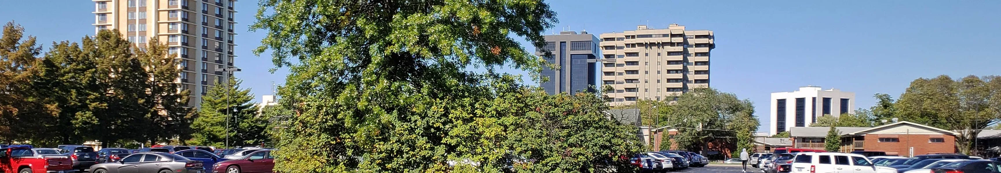 Panorama of Springfield