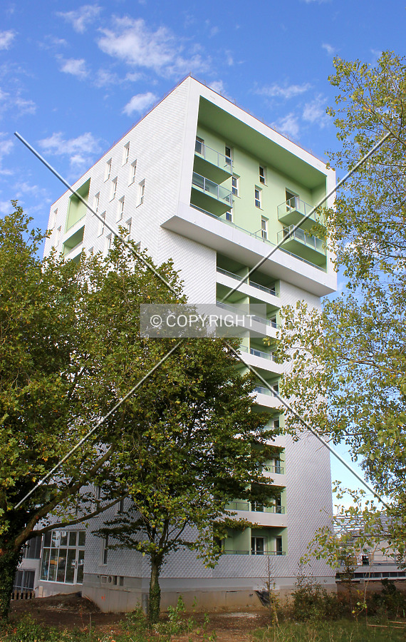 Photo 158-908-237