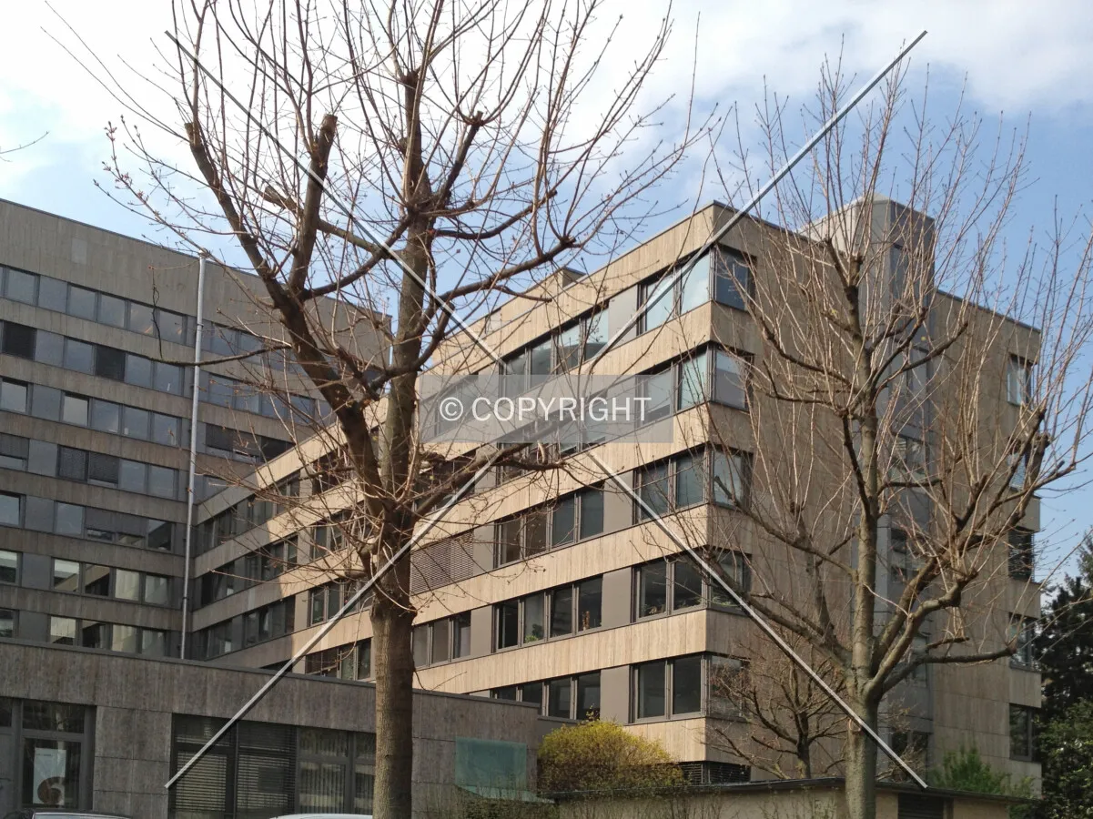 Photo 158-927-757