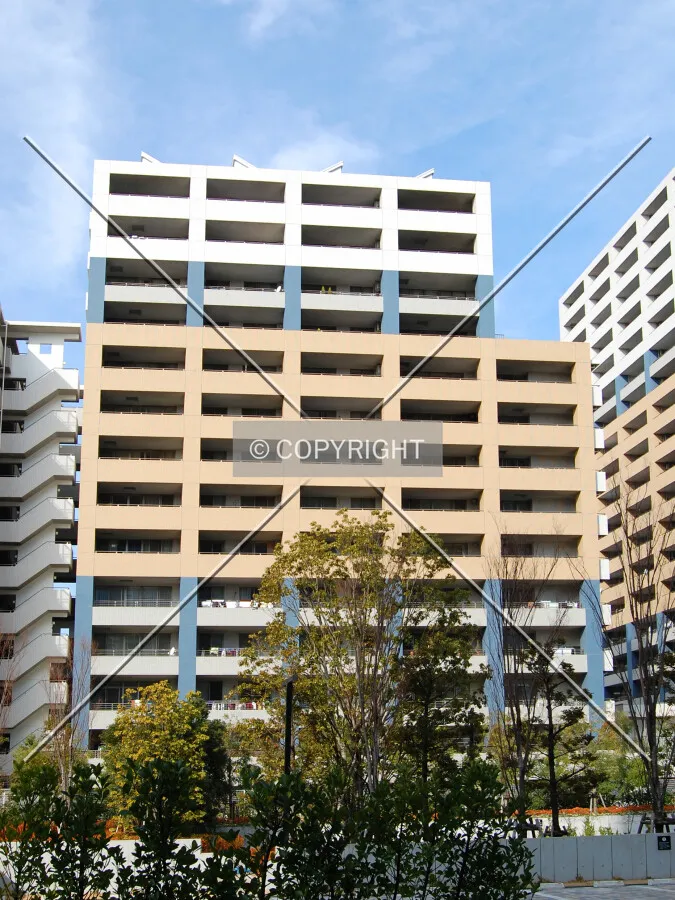 View from the southeast