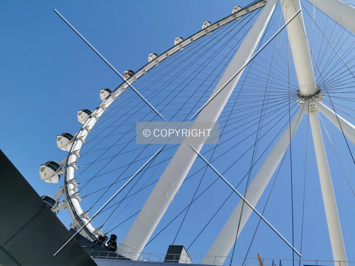 Photo 159-027-743
