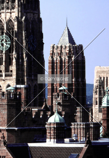 Photo 159-518-206