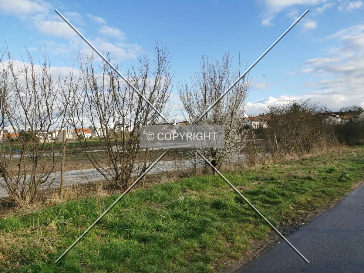 Fields in Frankfurt-Oberrad