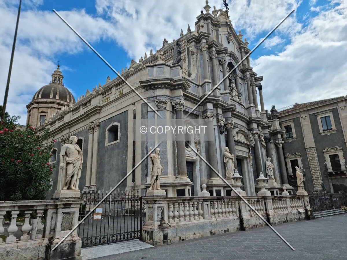 Photo 159-592-187