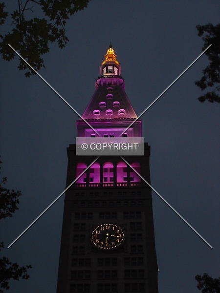 Photo 159-730-408