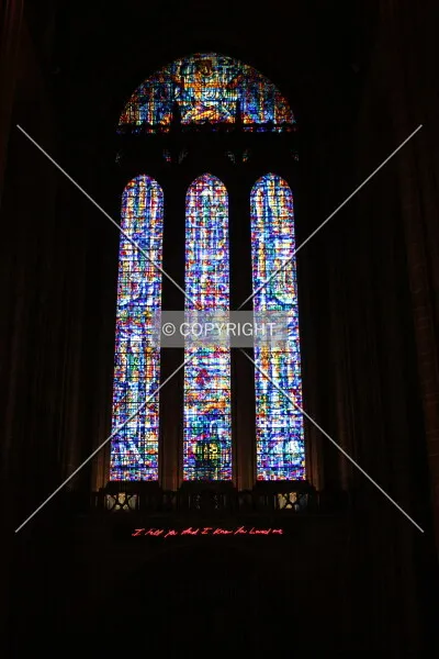 Photo 159-894-919