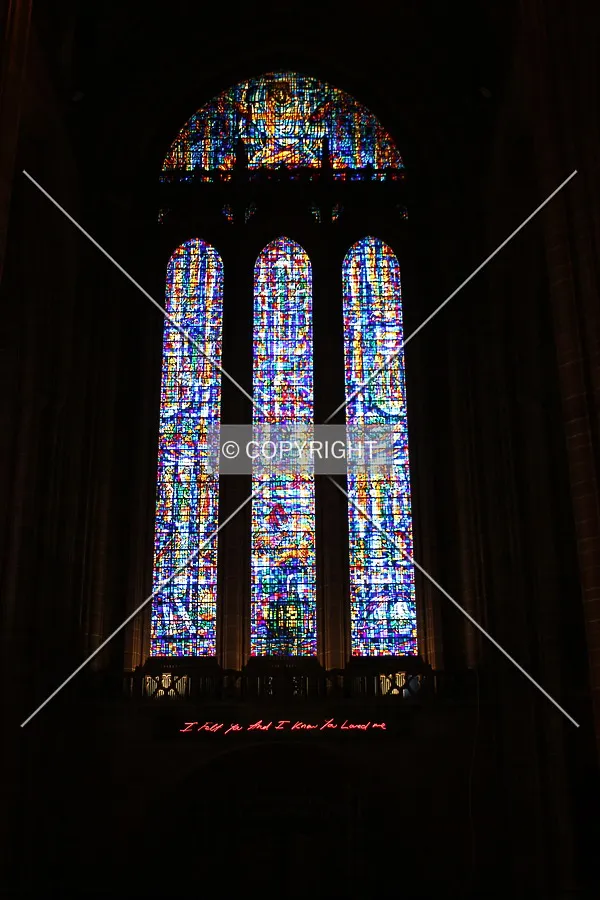 Photo 159-894-919