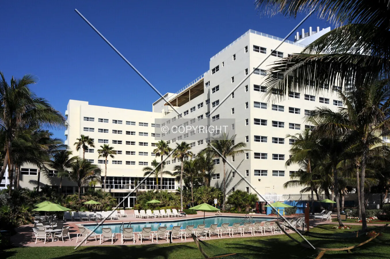 View from the east