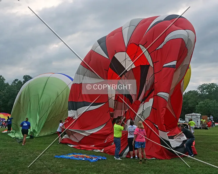 Photo 160-242-595
