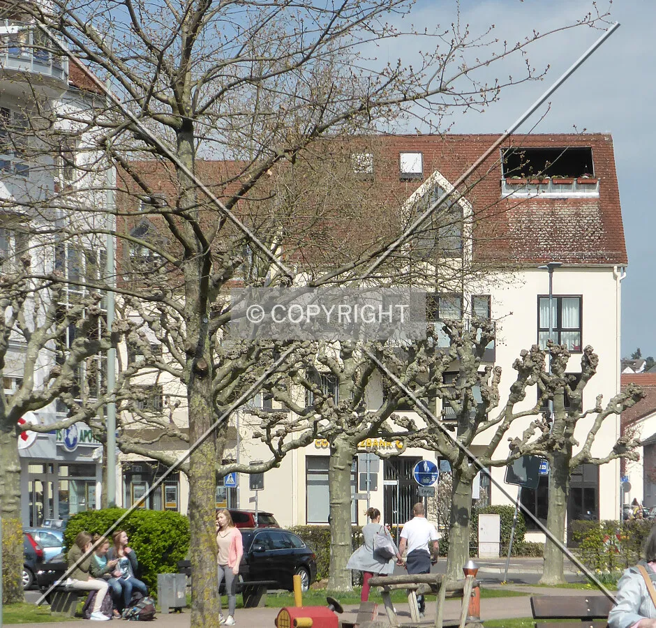 Photo 160-296-362