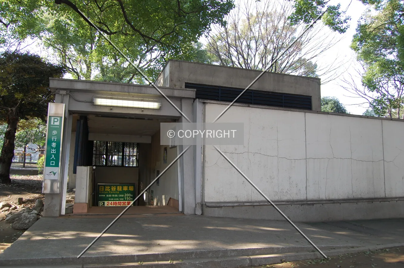 Photo 160-381-542