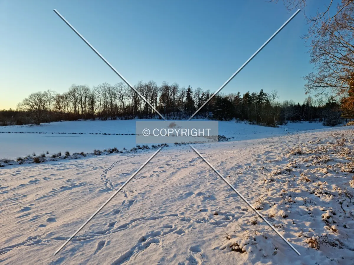 Photo 160-420-322