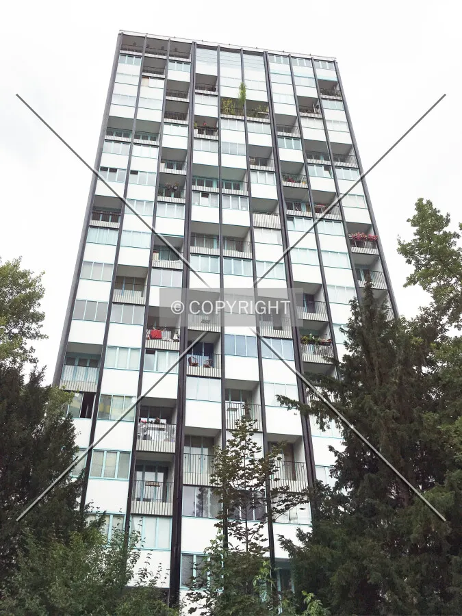 Photo 160-445-281