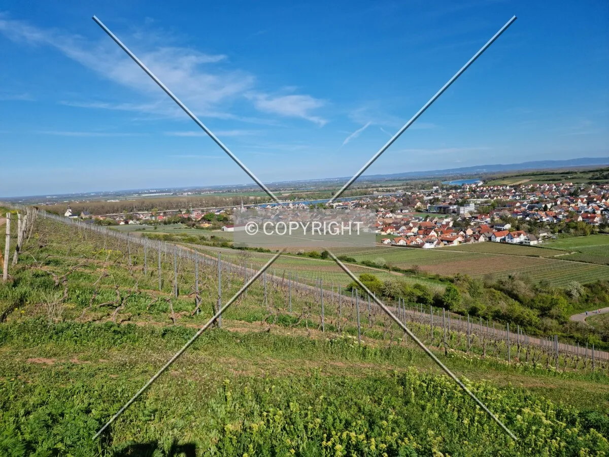 Photo 160-516-026