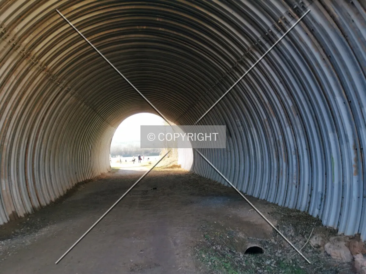 Photo 160-534-384