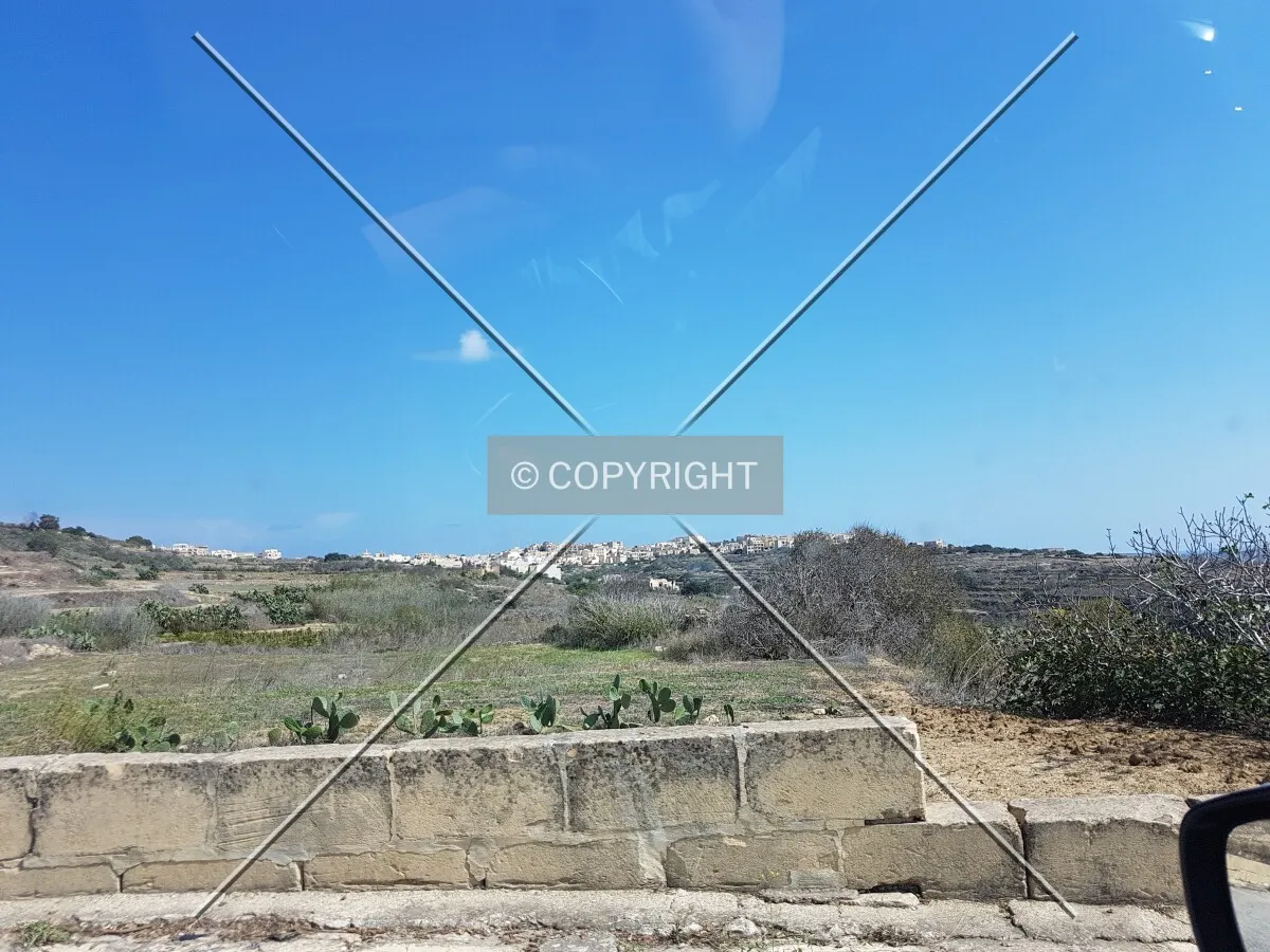 Photo 160-549-655