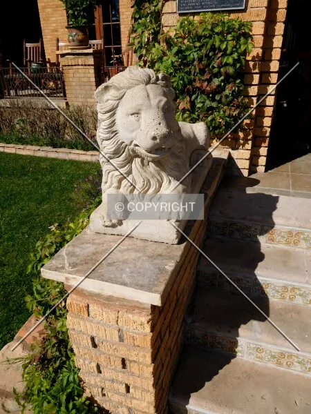 Photo 160-698-624