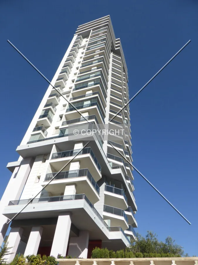 Photo 160-809-529