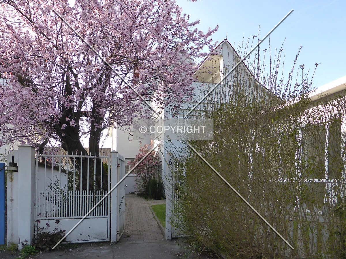 Photo 161-083-758