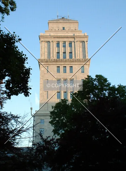 Photo 161-204-739