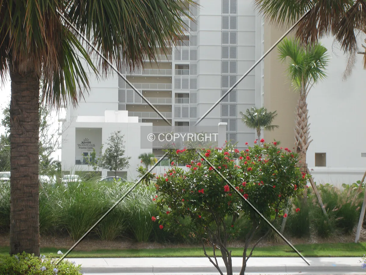 Photo 161-333-254