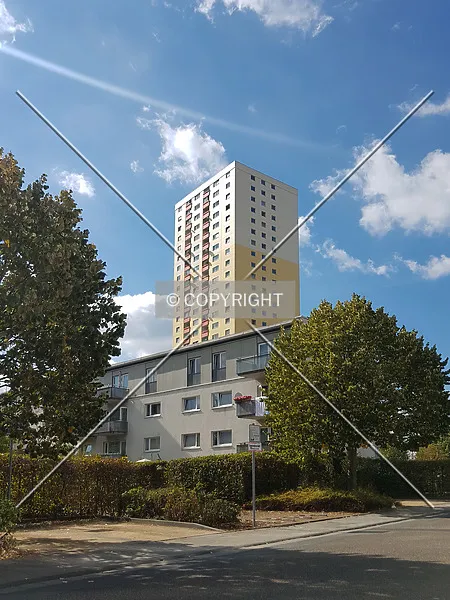 Photo 161-424-210