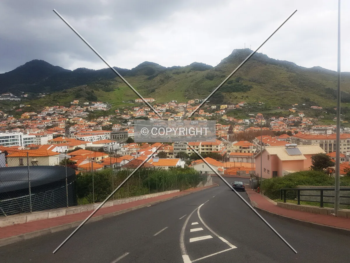 Photo 161-563-862