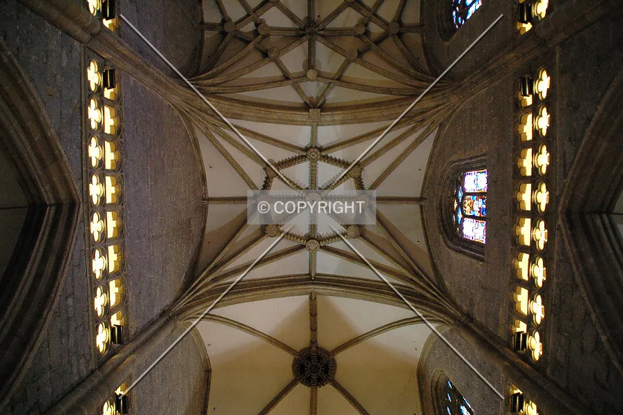 Photo 161-608-704