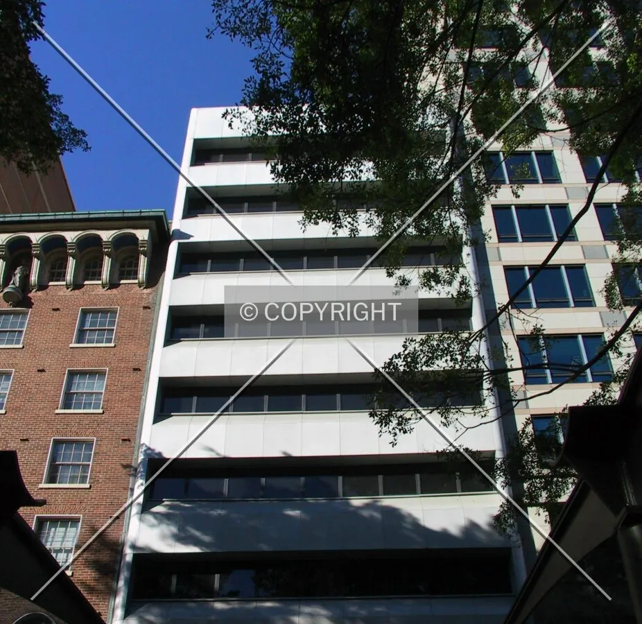 Looking up from Carrington Street