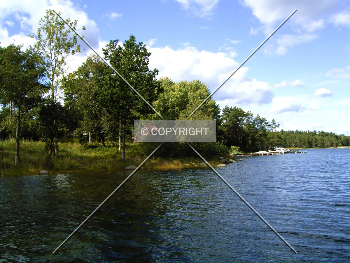 Photo 161-731-054