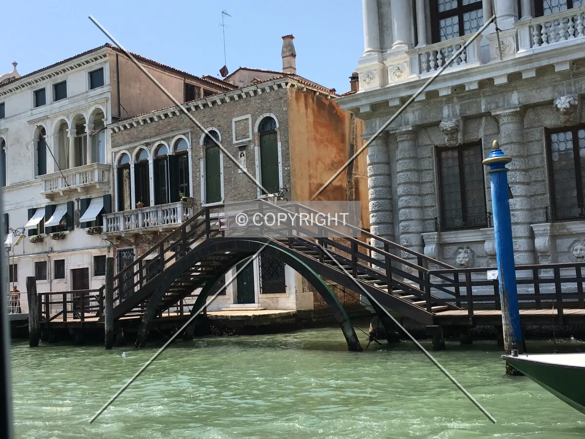 Photo 161-894-935