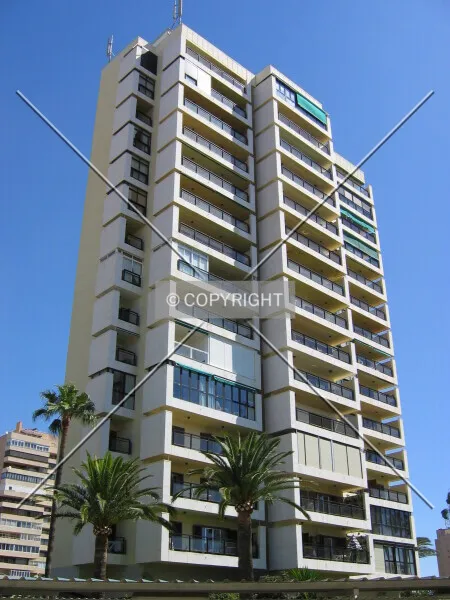 Photo 161-905-454