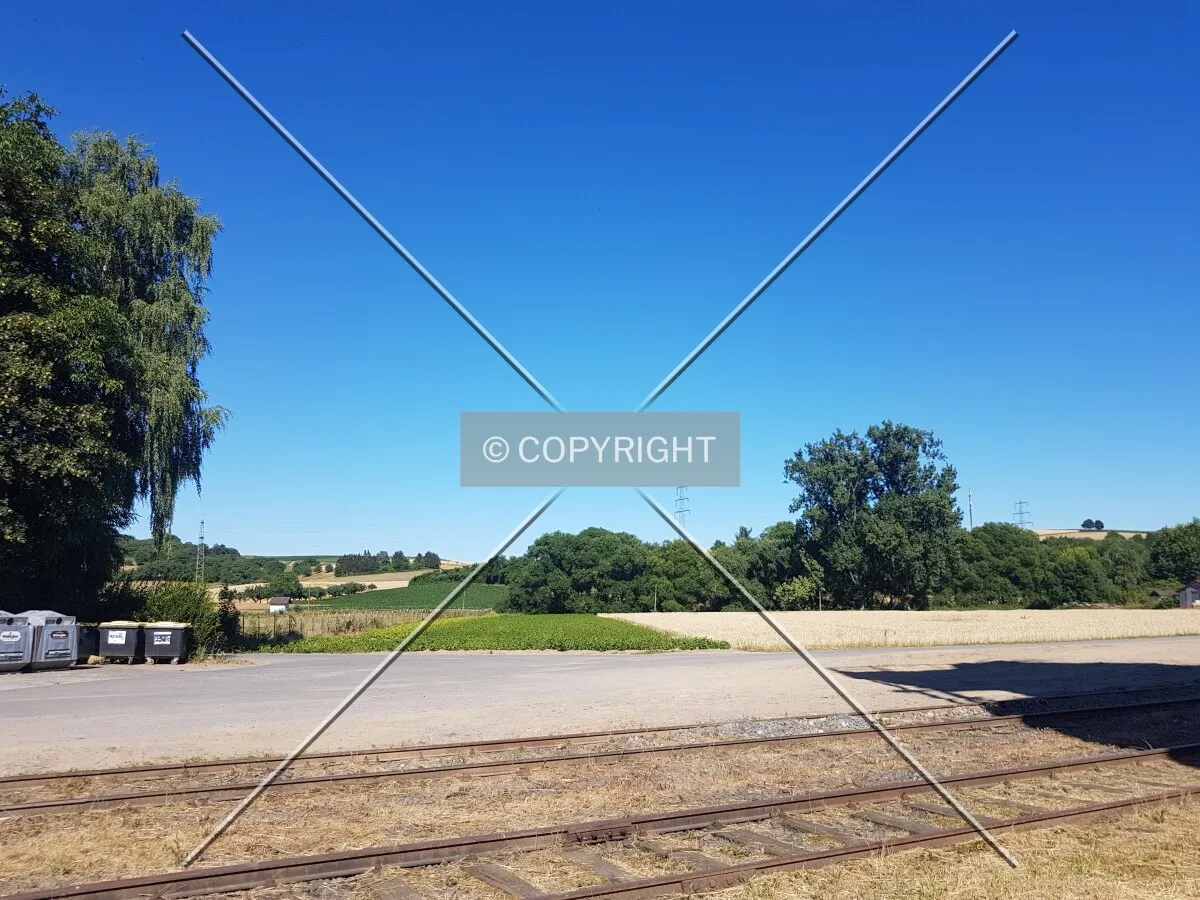 Photo 162-029-952